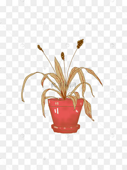 手绘枯萎植物素材透明底植物可商
