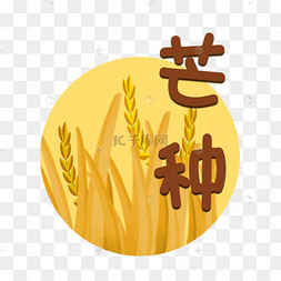 圆形麦子