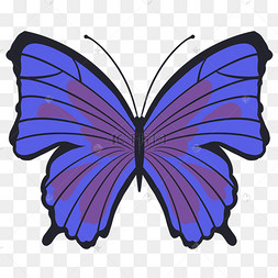 蓝色帝王蝶装饰插画