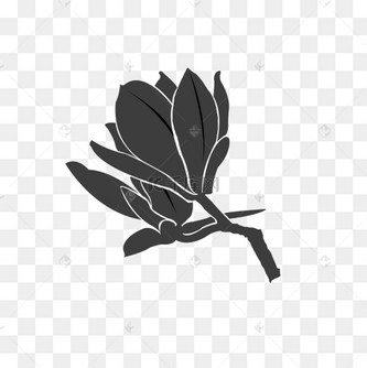 黑色创意美丽玉兰花