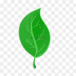 手绘一叶子