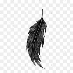 黑色质感写实手绘羽毛