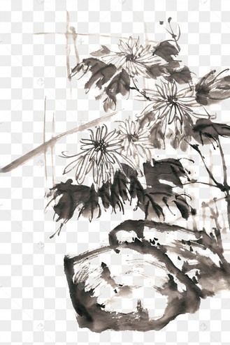 菊花水墨画png免抠素材