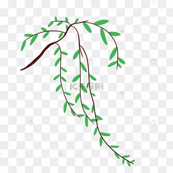 卡通柳树叶矢量图下载