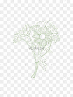 菊花束图片 菊花束图片素材免费下载 千库网