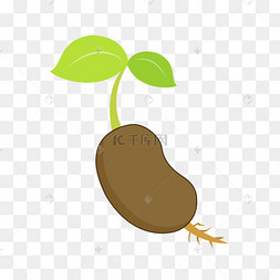 种子发芽卡通