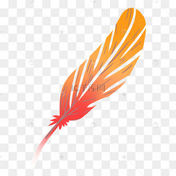 红色的精致凤凰羽毛