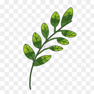 绿色植物素描画图片
