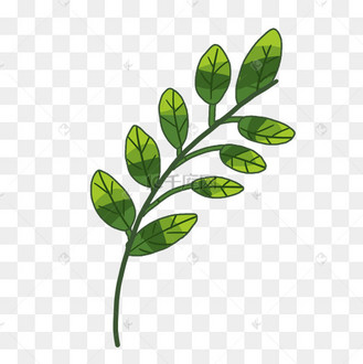 绿色茶叶碧螺春茶叶