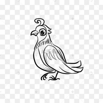 儿童节简笔速写手绘涂鸦百灵鸟