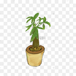 绿色仙人掌健康植物绿植绿化手绘