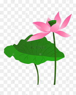 矢量卡通粉色莲花