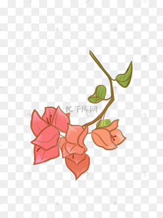 手绘彩铅风粉色橘色三角梅花