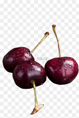 三个美味好吃的新鲜的李子png素材