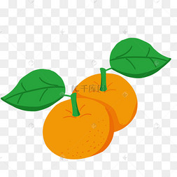 一串矢量卡通柑橘果实
