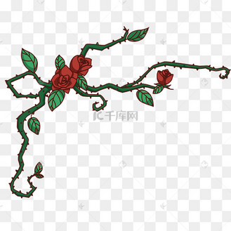 红色的玫瑰花藤插画