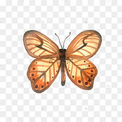 枯叶蝶装饰翅膀昆虫png蝶恋花夏季昆虫黑色凤尾蝶花与蝶水墨画png免抠