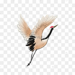 手绘卡通仙鹤