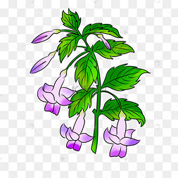 手绘紫色杜鹃花