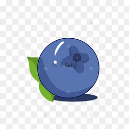 水果蓝莓蓝色农业浆果卡通手绘蓝莓水果蓝莓水果手绘彩色零食美食蓝莓