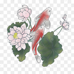 中国风水墨工笔红鲤鱼莲花png
