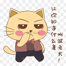 霸气猫咪表情包