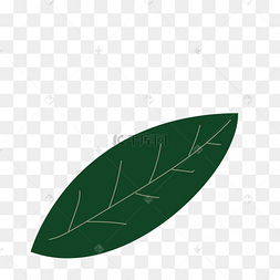 一片树叶卡通