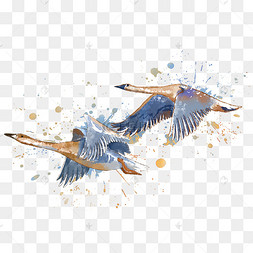 大雁喷溅水彩