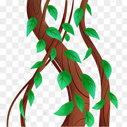 缠绕树藤