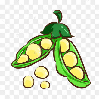 养生农作物大豆豆子插画