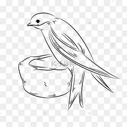 黑白春季燕子手绘