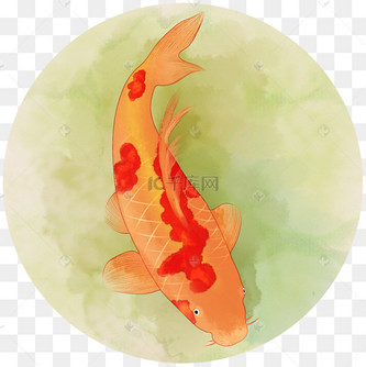 唯美古风锦鲤红鲤鱼手绘psd分层