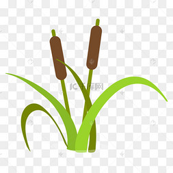 矢量长了蒲棒香蒲
