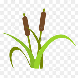 矢量长了蒲棒香蒲