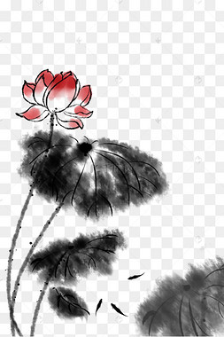 莲水墨画