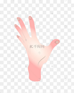 下载 png下载 															ai女人左手矢量图搜索词手背手势矢量