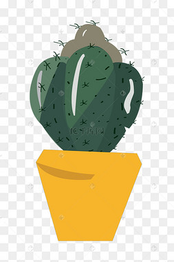 圆形植物仙人球插图