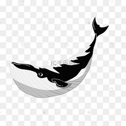 保护动物手绘插画