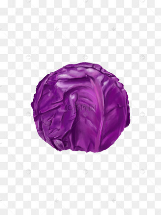 食物元素之紫菜甘蓝