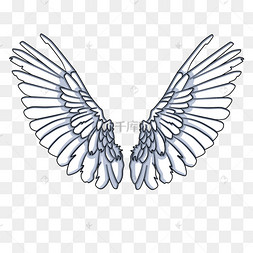 黑色线描大翅膀