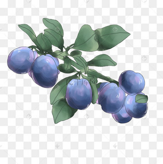 夏日图案图片_夏日图案设计图片素材大全-千库网