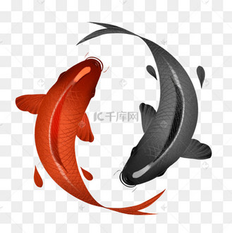 太极水墨国潮锦鲤