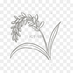 速写风黑白水稻png