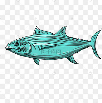 青鱼动物卡通插画