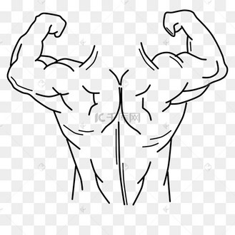 线描肌肉男