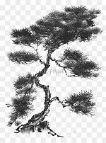 水墨松柏树图片 水墨松柏树图片素材免费下载 千库网 水墨松柏树图片 水墨松柏树图片素材免费下载 千库网