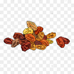 美味的干果许多美味的新疆葡萄干水果果脯干果美味的坚果松果插画榛子