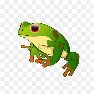 可爱绿色白肚皮青蛙psd透明底