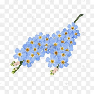 春日春天蓝色风信子花串清新美丽png植物