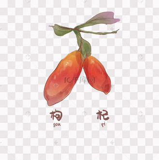 手绘彩色中药枸杞装饰画